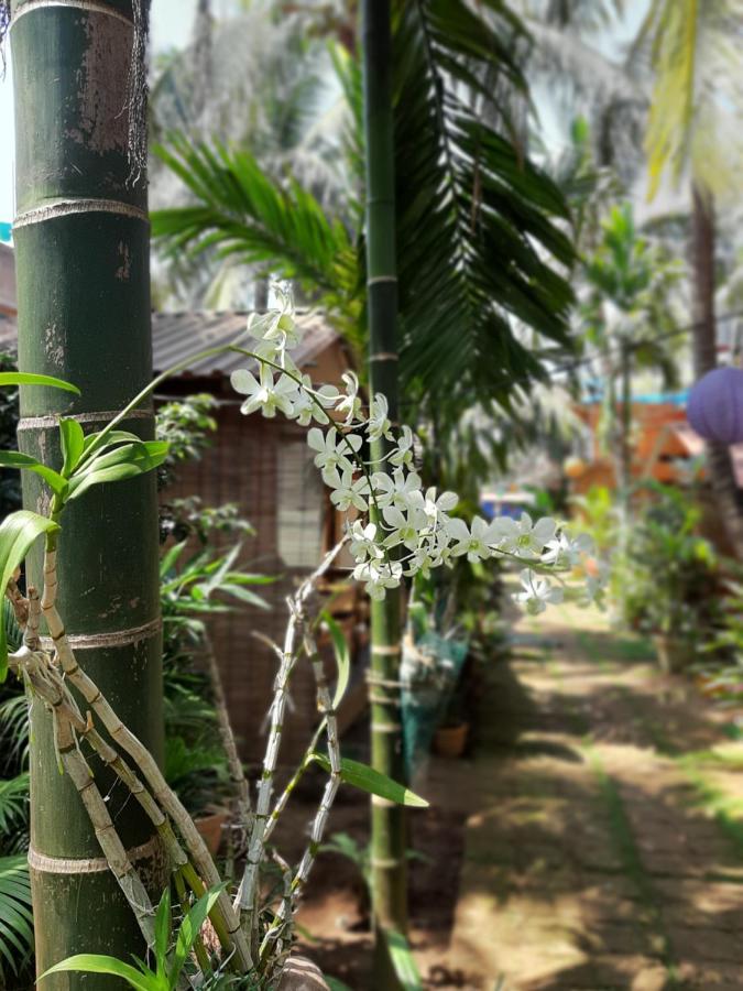 Agonda Holiday Home Luaran gambar